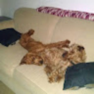 Meet your Posher, Scott